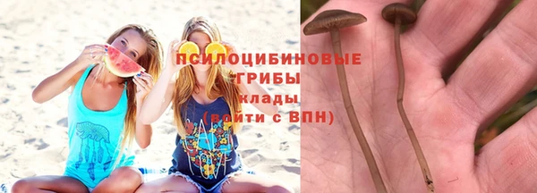 a pvp Алексин