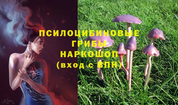 mix Алексеевка