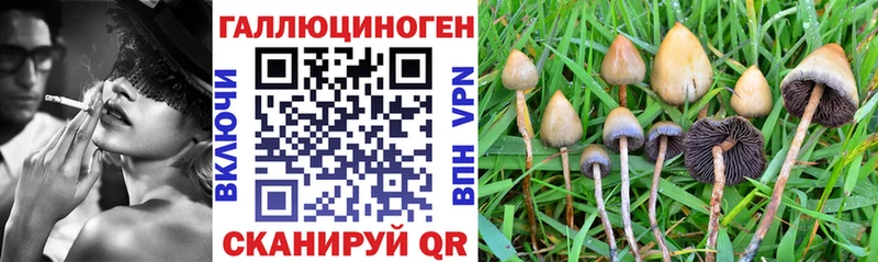 Галлюциногенные грибы Cubensis Заринск