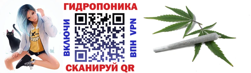 Канабис конопля где продают наркотики Заринск